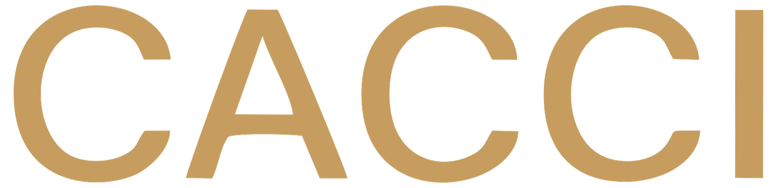 cacciusa.com
